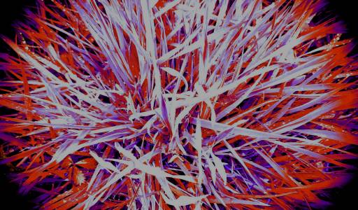 Neuroznanost ljubavi