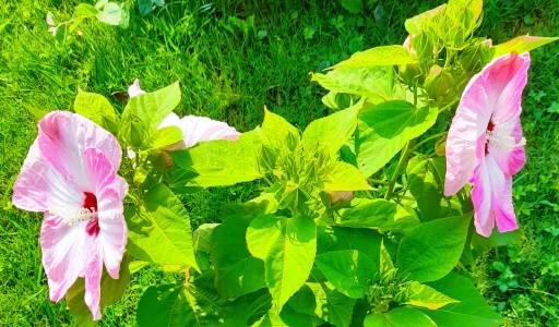 Podcast 55 minuta kod Željke Markić