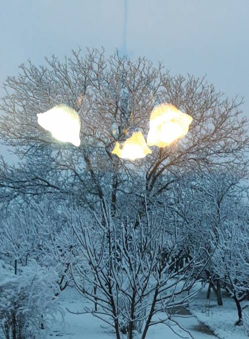 Tri svetla po zime